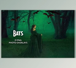 Download 20 Bat Photo Overlays GraphicRiver - 34818303
