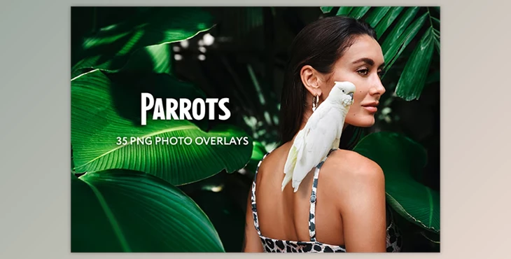 Download 35 Parrots Photo Overlays GraphicRiver - 34817800