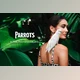 Download 35 Parrots Photo Overlays GraphicRiver - 34817800