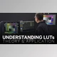 Download Mzed – Understanding LUTs Theory and Application