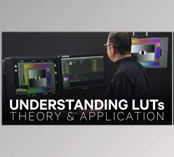 Download Mzed – Understanding LUTs Theory and Application