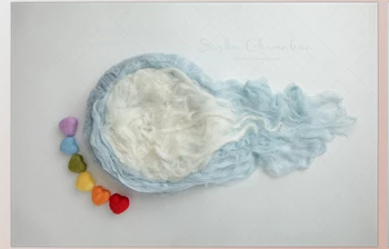 Download Sasha Chomakov – Newborn Digital Backdrop – <span class='badge badge-warning'>Blue</span>