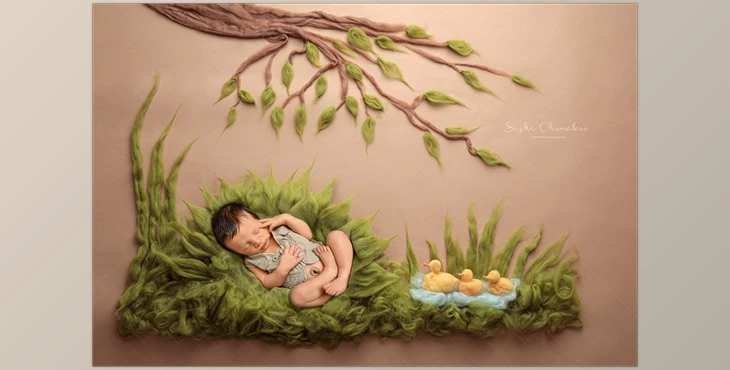 Download Sasha Chomakov – Newborn Digital Backdrop – Ducks