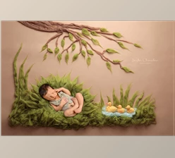 Download Sasha Chomakov – Newborn Digital Backdrop – Ducks