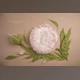 Download Sasha Chomakov – Newborn Digital Backdrop – Flower