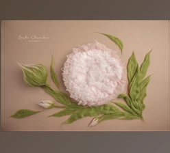 Download Sasha Chomakov – Newborn Digital Backdrop – Flower