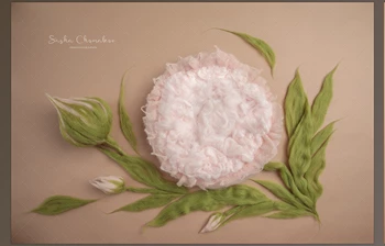 Download Sasha Chomakov – Newborn Digital Backdrop – <span class='badge badge-warning'>Flower</span>