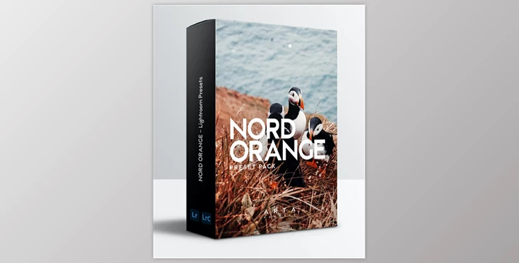 Download ARTA Presets | Nord Orange | For Mobile and Desktop Lightroom GraphicRiver - 34026446