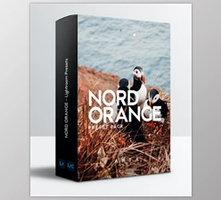 Download ARTA Presets | Nord Orange | For Mobile and Desktop Lightroom GraphicRiver - 34026446