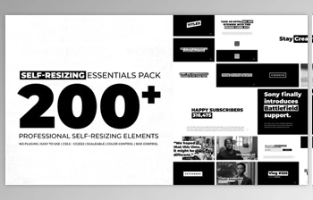 Download Self Resizing <span class='badge badge-warning'>Essentials</span> (Videohive 34842617) - AE Project