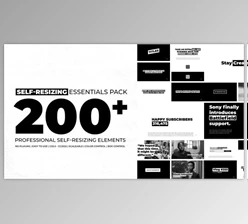 Download Self Resizing Essentials (Videohive 34842617) - AE Project