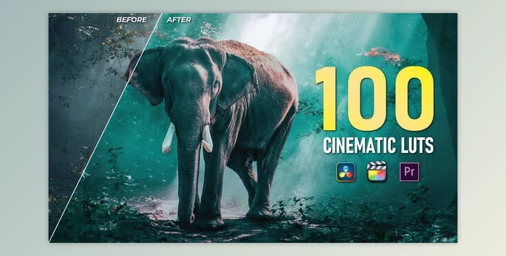 Download 100 Cinematic LUTs Color Grading (Videohive 35390122) - PR Project