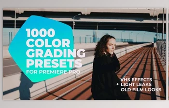 Download 1000 <span class='badge badge-warning'>Cinematic</span> Color Presets – Lut Pack for Premiere Pro (Videohive 24589977) - PR Project