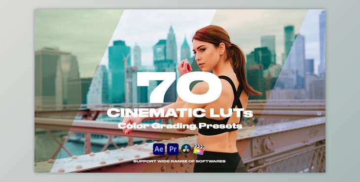 Download Cinematic LUTs Vol.1 (Videohive 35150050) - PR Project