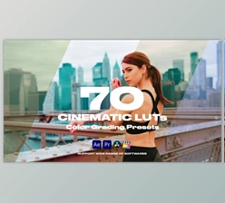 Download Cinematic LUTs Vol.1 (Videohive 35150050) - PR Project