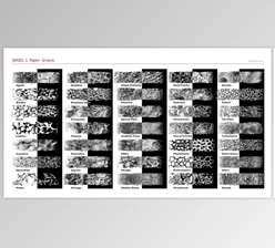Download John Derry Emergence Corel Painter Brushes for Painter 2022