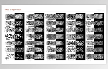 Download John Derry Emergence Corel <span class='badge badge-warning'>Painter</span> Brushes for <span class='badge badge-warning'>Painter</span> 2022