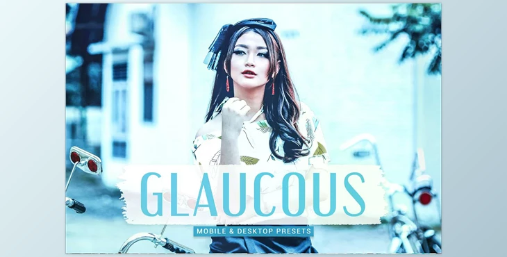 Download Glaucous Pro Lightroom Presets CreativeMarket - 6899790