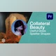 Download Collateral Beauty – Useful Glass Splatter Shapes (Videohive 35471048)