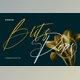 Download Blitz Pops Signature Script Font