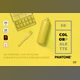 Download 50 Pantone Branding Color Palettes CreativeMarket - 6119891