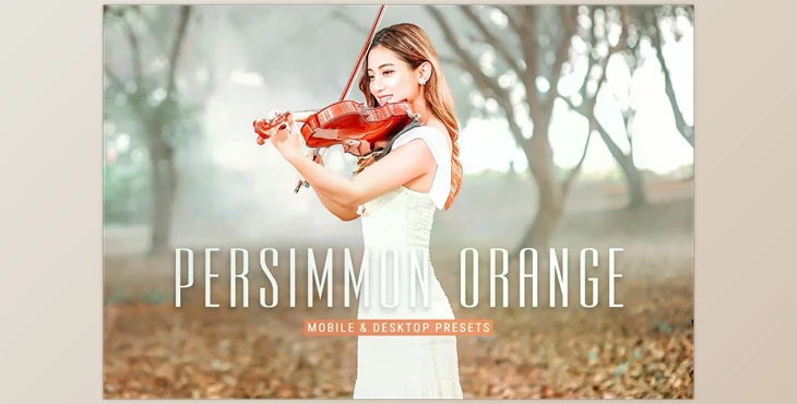 Download Persimmon Orange Lighroom Presets CreativeMarket - 6915633