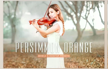 Download Persimmon Orange <span class='badge badge-warning'>Lightroom</span> <span class='badge badge-warning'>Presets</span> CreativeMarket - 6915633