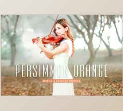 Download Persimmon Orange Lightroom Presets CreativeMarket - 6915633