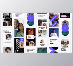 Download Starling – Instagram Stories Pack (Videohive 35846900) - AE Project