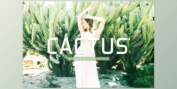 Download Cactus Pro Lightroom Presets CreativeMarket - 6923110