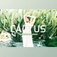 Download Cactus Pro Lightroom Presets CreativeMarket - 6923110