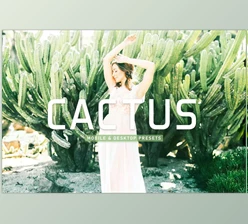 Download Cactus Pro Lightroom Presets CreativeMarket - 6923110