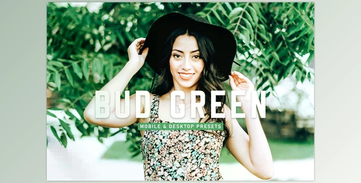 Download Bud Green Pro Lightroom Presets CreativeMarket - 6923040