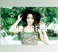 Download Bud Green Pro Lightroom Presets CreativeMarket - 6923040