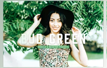 Download Bud Green Pro <span class='badge badge-warning'>Lightroom</span> <span class='badge badge-warning'>Presets</span> CreativeMarket - 6923040