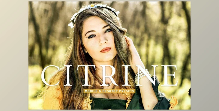 Download Citrine Pro Lightroom Presets CreativeMarket - 6923254