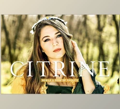 Download Citrine Pro Lightroom Presets CreativeMarket - 6923254