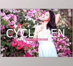 Download Cyclamen Pro Lightroom Presets CreativeMarket - 6923256