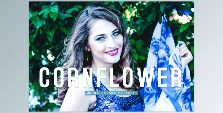 Download Cornflower Pro Lightroom Presets CreativeMarket - 6923255