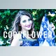 Download Cornflower Pro Lightroom Presets CreativeMarket - 6923255