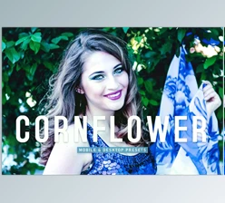 Download Cornflower Pro Lightroom Presets CreativeMarket - 6923255
