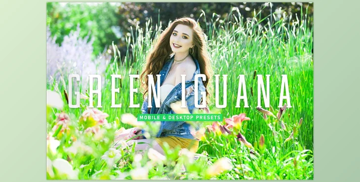 Download Green Lguana Pro Lightroom Presets CreativeMarket - 6923960