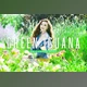 Download Green Lguana Pro Lightroom Presets CreativeMarket - 6923960