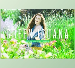 Download Green Lguana Pro Lightroom Presets CreativeMarket - 6923960