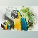 Download Realistic Watercolor Portrait Effect CreativeMarket - 6336517