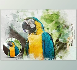 Download Realistic Watercolor Portrait Effect CreativeMarket - 6336517