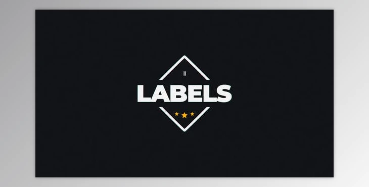 Download Titles // Labels II (VideoHive 35888580) - AE Project
