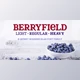 Download Berryfield Font Family – 3 Fonts