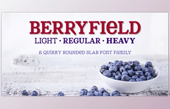 Download Berryfield Font Family – <span class='badge badge-warning'>3</span> Fonts