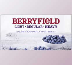 Download Berryfield Font Family – 3 Fonts